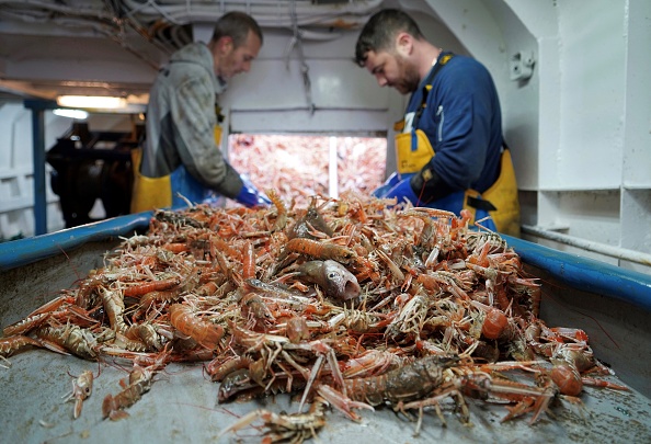 -Les pêcheurs travaillent à bord du chalutier de pêche Good Fellowship, tandis que ses filets chalutent le fond marin pour les crevettes et autres crustacés, en mer du Nord, dans le nord-est de l'Angleterre le 21 janvier 2020. La Grande-Bretagne quitte finalement l'Union européenne vendredi mais reste liée par la politique commune de pêche (PCP) du bloc jusqu'à la fin d'une période de transition le 31 décembre. Photo de William EDWARDS / AFP via Getty Images.