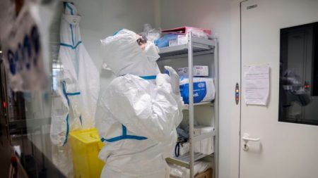 Une étude révèle que la transmission interhumaine s’est produite aux premiers stades de l’épidémie de coronavirus