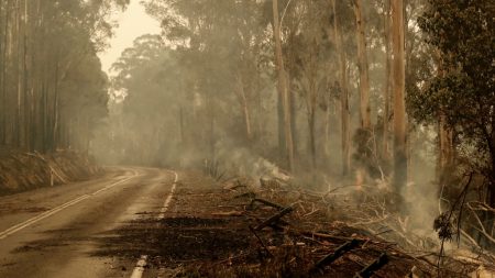 Incendies: après une journée catastrophique, l’Australie compte ses morts