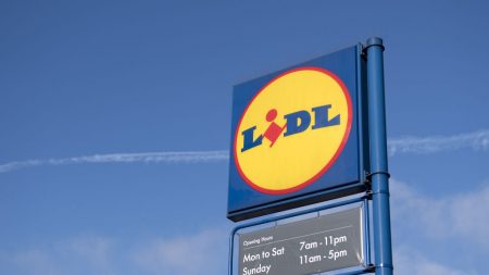 LIDL: volée au milieu d’un magasin après un malaise, une jeune maman de 22 ans reçoit l’aide inattendue de la direction de l’enseigne