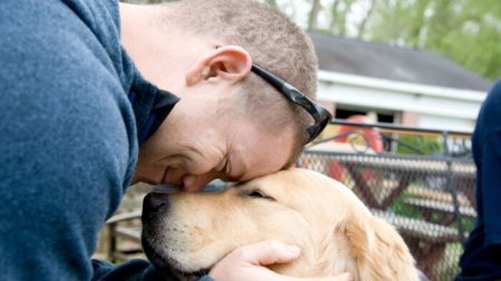 Comment la formation de ces chiens d’assistance aide les anciens combattants à guérir