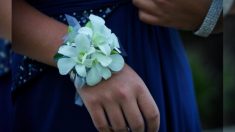 Elle a enlevé ses talons hauts après avoir fait une crise d’épilepsie juste avant le match suivi d’un bal alors toutes les filles les ont enlevés aussi, c’est devenu viral