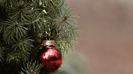 Une petite fille âgée de 9 mois est décédée après avoir avalé un morceau de décoration de Noël