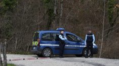 Octogénaire découpée en morceaux dans un congélateur : le petit-fils passe aux aveux