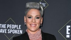 Incendies en Australie: La chanteuse Pink s’engage à donner 500.000 dollars pour lutter contre les feux