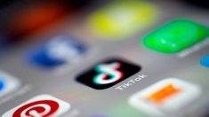 Des vulnérabilités majeures de TikTok exploitées par des hackers?