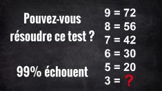 Il y a 3 réponses à ce casse-tête mathématique, mais pouvez-vous trouver quelle est la meilleure?