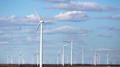 Haute-Garonne : une pale d’éolienne retrouvée désagrégée sur son mat