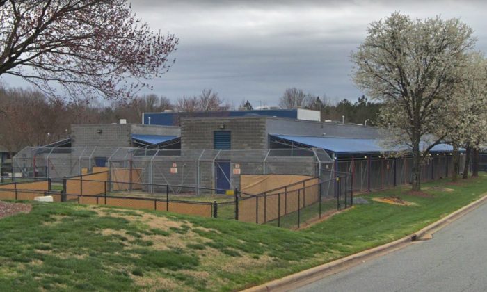 (Google Maps | Charlotte Mecklenburg Animal Care & Control) 