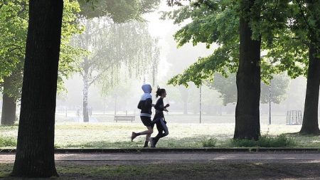 C’est prouvé, la course à pied rend intelligent et permet d’éviter de perdre ses neurones