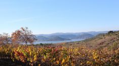 Hérault: un chasseur filmé en train de tirer au Lac du Salagou près des promeneurs – la vidéo crée la polémique