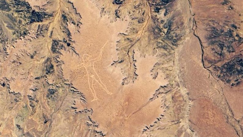 Marree Man,photo prise le 22 juin 2019. (Lauren Dauphin/NASA) 