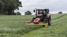 Réforme des retraites : pas de revalorisation dans les actuelles pensions agricoles