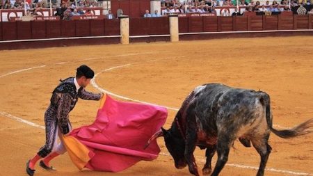 Tauromachie : Pernod Ricard rompt son partenariat avec les clubs taurins