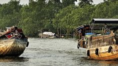 Croisière au fil du Mékong, entre le Cambodge et le Vietnam