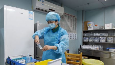 En plein coronavirus, la Chine signale une épidémie de grippe aviaire dans la province du Hunan, 18 000 poulets tués