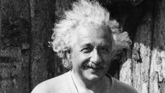 Cette fillette avec le «syndrome des cheveux en bataille» a des cheveux comme EINSTEIN, et elle adore ça!