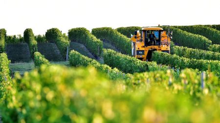 Les avantages des émissions de CO2 pour l’agriculture dépassent les coûts pour les 30 prochaines années