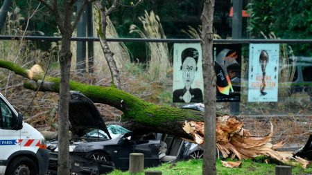 Rafales de vents violents: un automobiliste tué par la chute d’un arbre à Paris