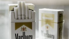 Le paquet de Marlboro, les cigarettes les plus vendues en France, à 10 euros le 1er mars