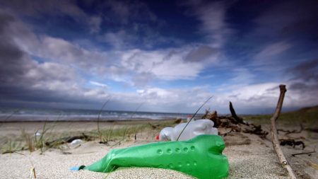 Une première en Gironde : Lacanau installe des seaux de ramassage de déchets pour les promeneurs