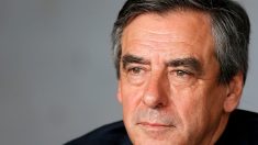 Affaire couple Fillon : l’assemblée nationale va réclamer plus de 1 million d’euros de dommages et intérêts