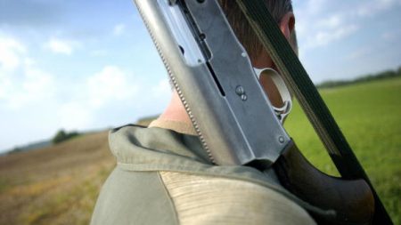 Un chasseur pointe son fusil sur une mère de famille en promenade dans la forêt