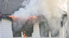 Un enfant de 5 ans tire sa petite soeur et son chien de sa maison en feu, puis y retourne pour 7 autres membres de sa famille