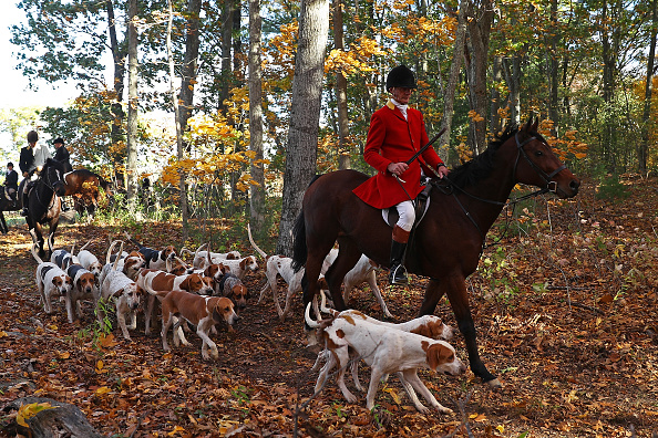 Photo d'illustration. Crédit :  Maddie Meyer/Getty Images.