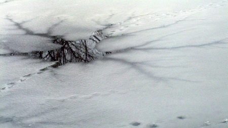 Une institutrice meurt de ses blessures après être tombée dans un étang de glace