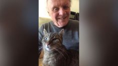 Confinement: Anthony Hopkins profite de son temps libre pour jouer du piano avec son chat