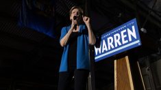 L' »extraordinaire » effondrement d’Elizabeth Warren dans la course à la Maison Blanche