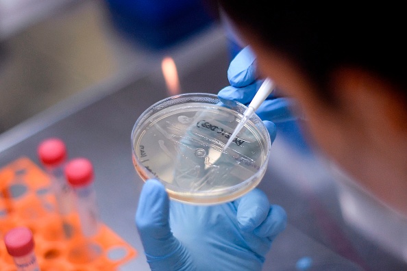 Il faudra peut-être attendre au moins une année avant d'avoir un vaccin contre le virus du PCC. (Photo : DOUGLAS MAGNO/AFP via Getty Images)