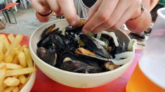 Crotoy : deux commerçants distribuent leurs moules gratuitement pour ne pas gaspiller