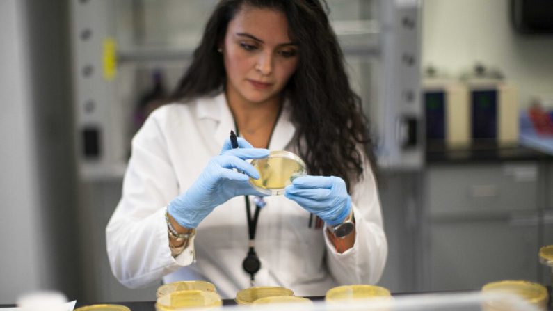 Un chercheur travaille dans un laboratoire qui développe des tests pour le virus du PCC au Hackensack Meridian Health Center for Discovery and Innovation à Nutley, N.J., le 28 février 2020. (Kena Betancur/Getty Images)