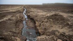 La Chine fait face à une crise alimentaire en raison du retrait des eaux souterraines et de la pollution