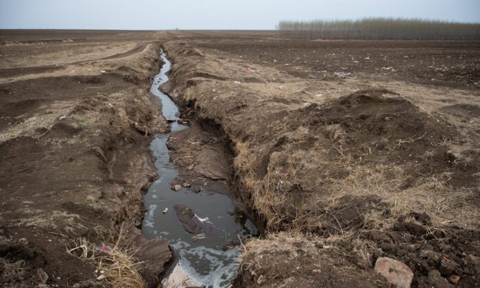 Un tuyau déverse des eaux usées dans les champs entourant une ferme laitière dans le canton de Gannan, province chinoise du Heilongjiang, le 3 mai 2016. (Nicolas Asfouri/AFP via Getty Images)
