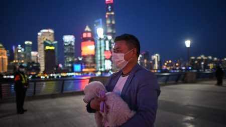 Un deuxième chien testé positif au coronavirus de Wuhan