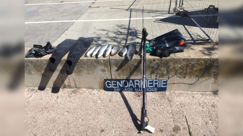 Le contrevenant avait eu le temps de pêcher plus de 5 kilos de poissons avant d'être repéré par les gendarmes. Crédit : Gendarmerie des Alpes-Maritimes. 