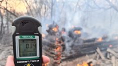 Le rayonnement de Tchernobyl redevient normal après un pic sur le site d’un incendie de forêt