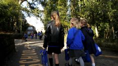 Faute d’école dans leur village, des enfants reprennent la classe… dans les bois