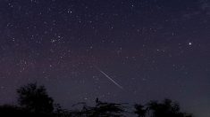 Une pluie d’étoiles filantes annoncée pour cette nuit et autres phénomènes féériques de cette fin d’année