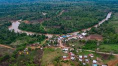 Panama: 1.700 migrants bloqués dans la jungle par le coronavirus