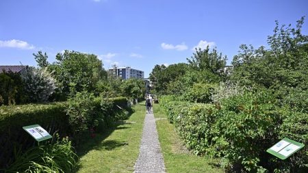 Espagne: quand les grand-mères confinées dansent ou jardinent en solo