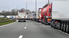 Des repas chauds et gratuits tous les soirs pour les routiers sur une vingtaine d’aires d’autoroutes les plus fréquentées