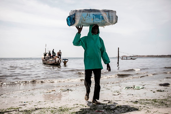 -Avec l'épidémie aucune exportation ne sort et donc la pêche a ralenti avec moins de bateaux qui sortent. Le poisson censé avoir été exporté est maintenant vendu localement à la moitié du prix ou stocké dans de grands réfrigérateurs jusqu'à ce qu'il soit vendu localement. Photo par JOHN WESSELS / AFP via Getty Images.