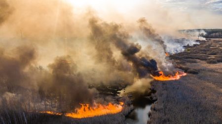 Tchernobyl : le feu se rapproche dangereusement de la centrale