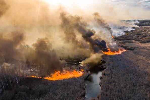 L'incendie dans une zone d'exclusion de 30 kilomètres à Tchernobyl, non loin de la centrale nucléaire. (Photo : VOLODYMYR SHUVAYEV/AFP via Getty Images)