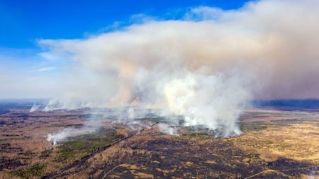 Feu de forêt à Tchernobyl: la situation s’améliore, assure Kiev