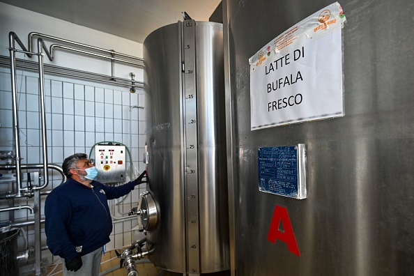 -Le propriétaire de la ferme de Buffalo, Giuseppe Morese, appelle au « financement créatif du fromage ». Les gens paient et reçoivent un reçu promettant que leur boule de fromage en forme de poire arrivera lorsqu'elle aura suffisamment vieilli pour être dégustée avec du pain chaud et du vin. Photo par ANDREAS SOLARO / AFP via Getty Images.